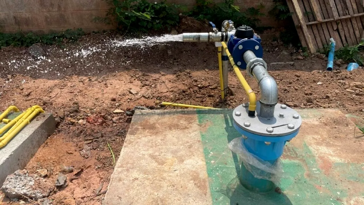 (P) Importanța unei pompe submersibile performante în irigarea legumelor și a culturilor de câmp