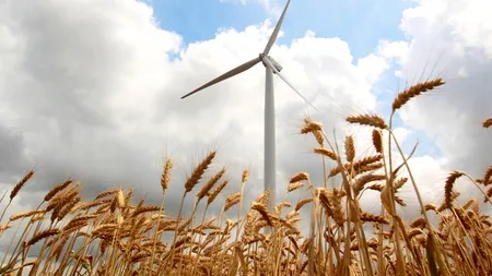 BERD analizează un împrumut de 58,2 milioane euro pentru două parcuri eoliene în România