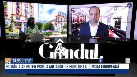 Gândul Live. Adrian Negrescu, consultant economic: “Anul acesta electoral este un blestem pentru România. Avem nevoie de un guvern tehnocrat care să taie în carne vie. Vom avea un val de insolvențe și falimente“