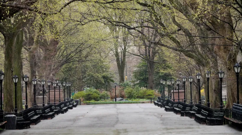 DECIZIE. CADAVRELE vor fi îngropate în parcurile locale din NEW YORK