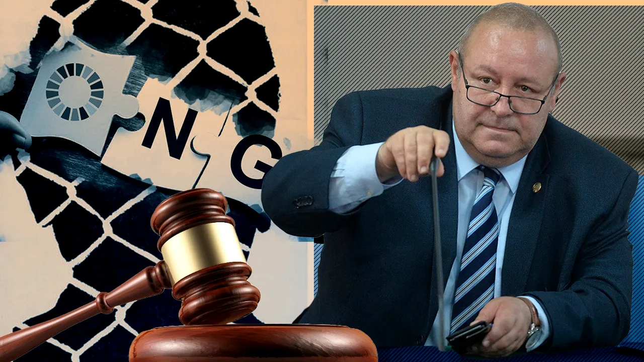 EXCLUSIV | ONG-urile ar putea fi obligate să depună cauțiune de 10.000 de euro înainte să atace în instanță proiecte de investiții. Daniel Fenechiu: „Descurajează acțiunile celor specializați în blocaje”