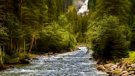 Locații de vis din România. Satul „cucerit” de o PĂDURE, din care localnicii au plecat/„Aici s-a filmat Stăpânul inelelor?”