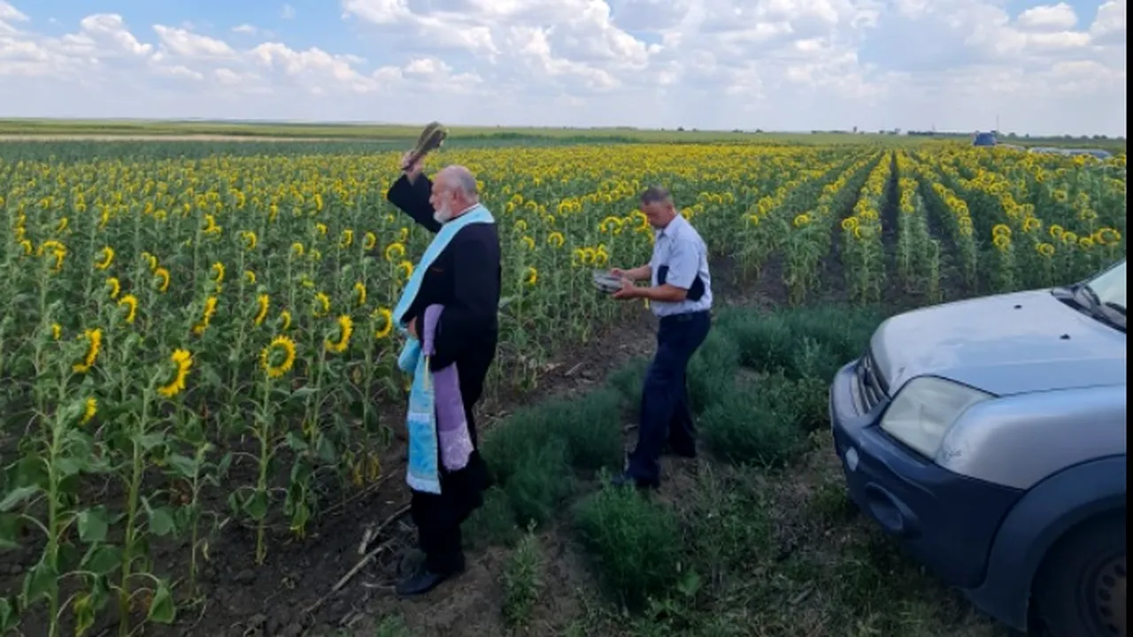 Un primar a adus preotul pe câmp să sfințească recolta și să aducă ploaia. „Mai bine facem un sistem de irigații”
