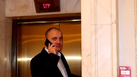 Elena Udrea: „Sebastian Ghiță a fost să-l viziteze în arest pe Dorin Cocoș