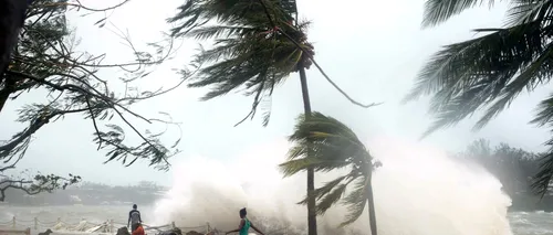 Alertă de tsunami, în urma unui cutremur de 7 grade în Arhipelagul Vanuatu