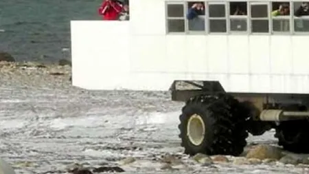 În fiecare an, în luna octombrie, locuitorii orașului Churchill din Canada au parte de 900 de vizitatori PERICULOȘI. Imagini de la ultima „invazie