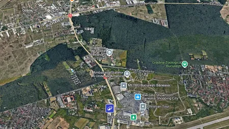 Primăria Sectorului 1 vrea Pădurea Băneasa de la Romsilva. Un proiect în acest sens a fost votat în unanimitate