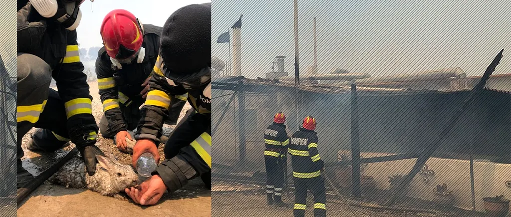 FOTO | Pompierii români au început misiunea de stingere a incendiilor de vegetație în insula Rodos