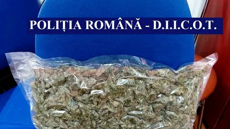 Constănțeni prinși în flagrant când ridicau un colet cu aproape opt kilograme de cannabis 
