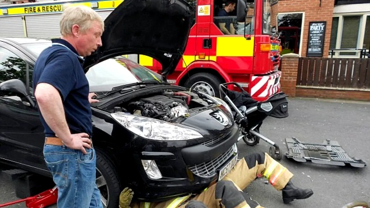 Cum a fost salvată o pisică de sub capota unei mașini