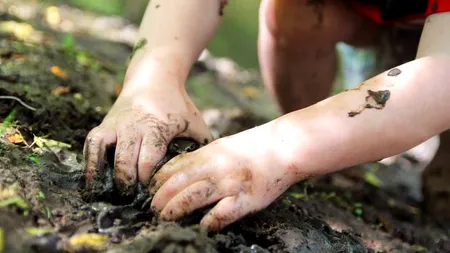 Tată acuzat că și-a supus copiii la munci grele într-o fermă de măgari, eliberat după trei luni jumate de închisoare. Cum vor fi DESPĂGUBIȚI minorii