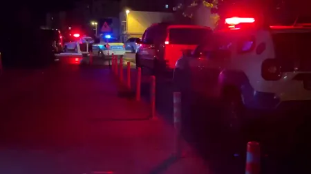 Suspectul în cazul înjunghierii din Cosmopolis, PRINS. Cine este agresorul din complexul în care a fost ucisă și Teodora Marcu / Precizări poliție