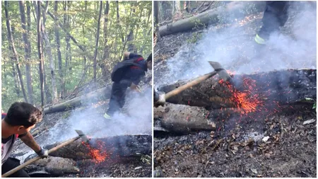 Incendiile de vegetație au cuprins mai multe zone din Hunedoara. Ministerul Afacerilor Interne a intervenit cu un elicopter Black Hawk