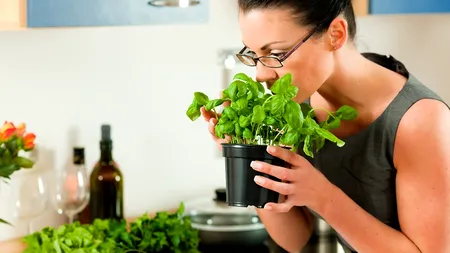 STUDIU. Disfuncția olfactivă mai periculoasă pentru sănătate decât insuficiența cardiacă