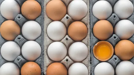 Alertă alimentară în Vaslui. Aproape 60.000 de ouă contaminate cu Salmonella au fost retrase de pe piață