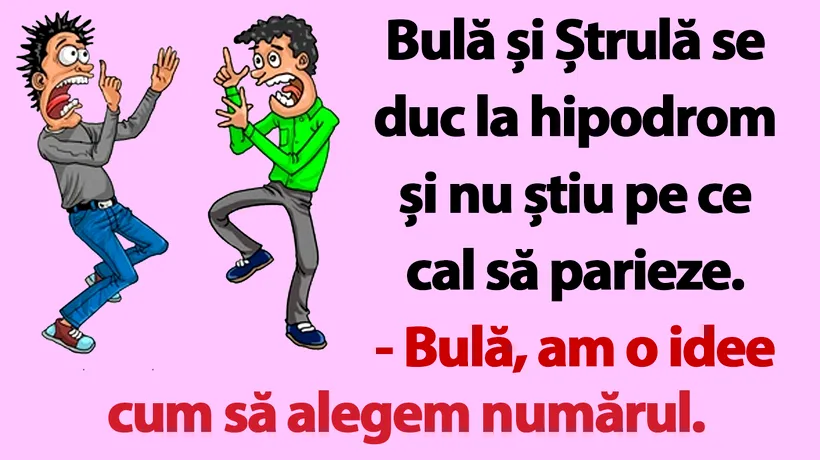 BANC | Bulă și Ștrulă se duc la hipodrom și nu știu pe ce cal să parieze