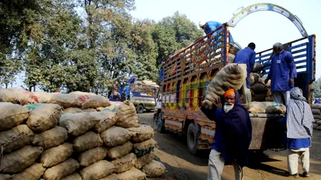 Poliția indiană a dejucat un furt de ceapă