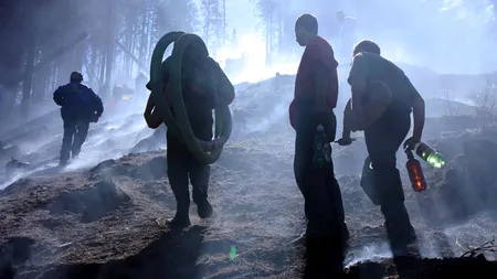 Vâlcea: 70 de pompieri și silvicultori intervin pentru stingerea incendiului din Masivul Cozia