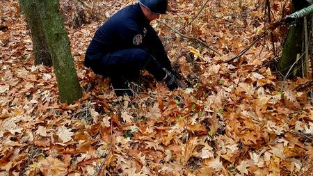 Descoperire șocantă făcută de un bărbat din Bolintin Vale care săpa o groapă în grădină. A sunat SPERIAT la 112