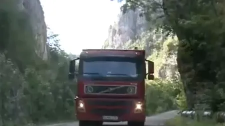 REVOLTĂTOR. Ce au făcut transportatorii de lemne într-o rezervație naturală ca să poată trece cu camioanele