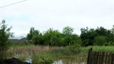 Ravagii în Teleorman: Două drumuri și zeci de gospodării au fost inundate - FOTO / VIDEO 