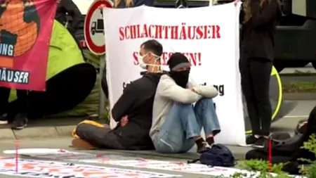 GERMANIA. Protest al activiștilor pentru protecția animalelor la abatorul Tonnies, unde sute de români s-au infectat cu Covid-19 / „Opriţi exploatarea oamenilor şi animalelor” (VIDEO)