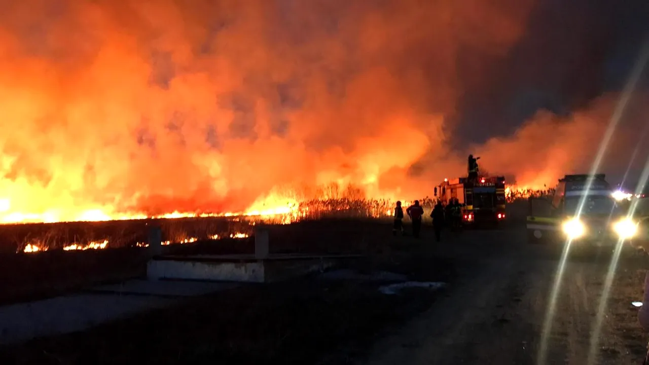 Incendiu puternic de vegetație la ieșirea din Făgăraș. Trafic blocat pe DN1. Video
