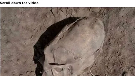 Cranii 