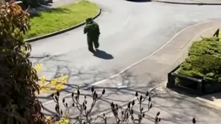 VIDEO: UN BĂRBAT s-a deghizat în tufiș ca să poată ieși din casă în perioada carantinei