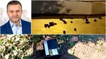 Ciprian Ciucu, primarul general al Capitalei, a găsit explicația pentru invazia de șobolani din centrul Bucureștiului. Cine ar fi de vină