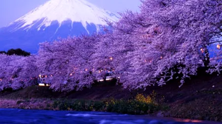 GALERIE FOTO: Destinații de neuitat pentru vacanța de primăvară