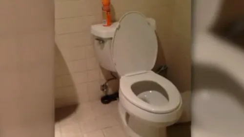 Amendă usturătoare pentru un timișorean care a aruncat vasul de toaletă la gunoi 