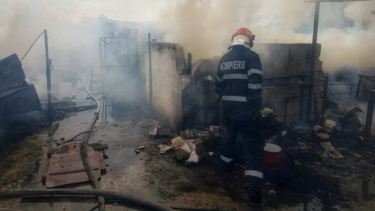 Incendiu violent la o gospodărie din Giurgiu. Mai multe animale au ars de vii