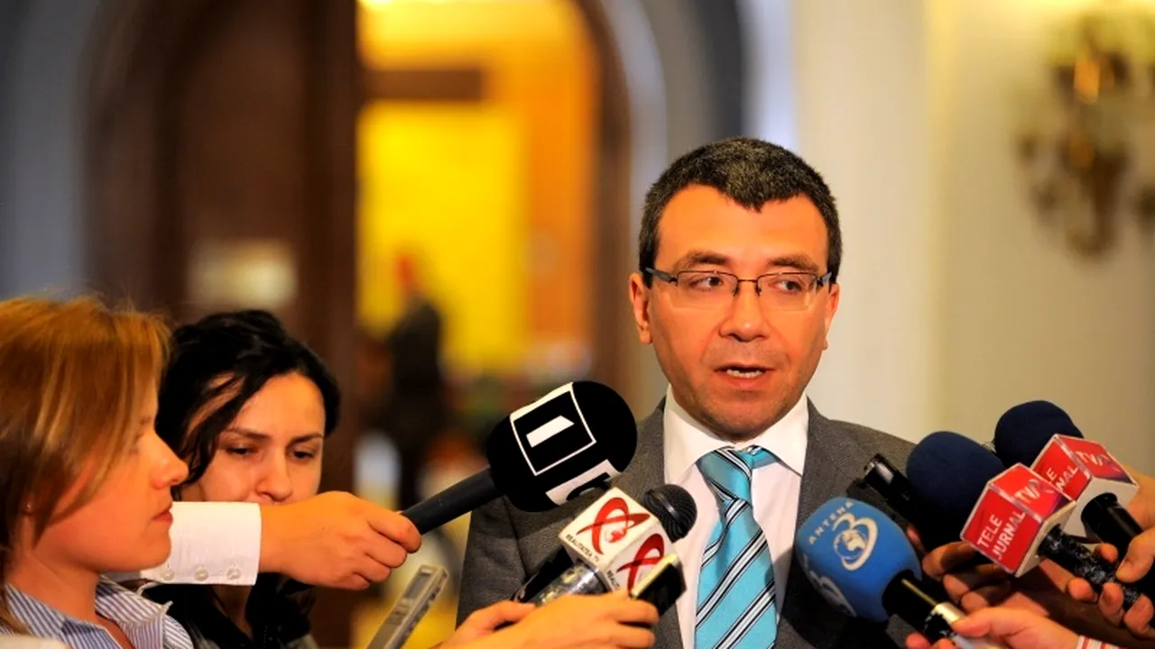 Voicu: Desfășurarea referendumului și sesiunea extraordinară sunt două subiecte paralele