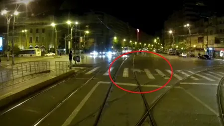 Un vatman din București a surprins pe camera de bord o vulpe pe o trecere de pietoni (VIDEO)