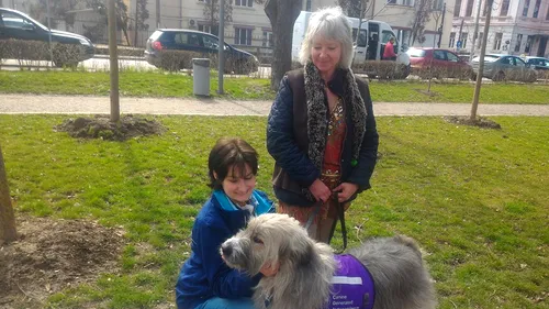 Kratu, câinele abandonat din România, ajuns vedetă în Marea Britanie. „O dată în viață se întâmplă să întâlnești un astfel de câine