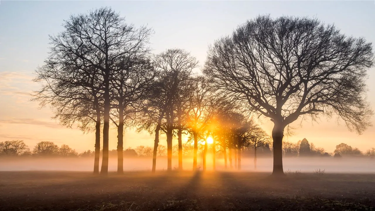 Prognoza meteo 31 octombrie. Nebulozitate și ploi în mare parte din țară