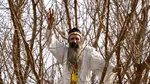 „Stegarul Dac” ar putea fi ARESTAT. Cezar Avrămuță s-a cățărat și astăzi într-un copac din zona tribunalului / Care sunt acuzațiile