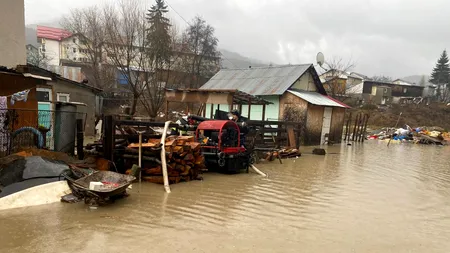 FOTO-VIDEO | Inundații puternice în 33 de localități. 17 case au fost afectate, iar nouă copaci și un stâlp au căzut pe carosabil
