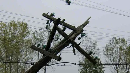 Doi bărbați din Arad au furat stâlpi de telefonie pentru a-și încălzi casele