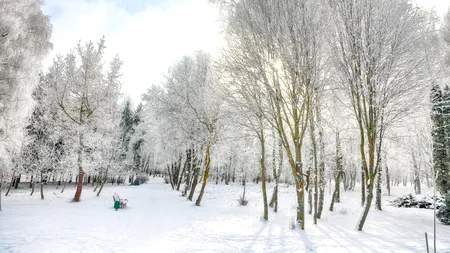 După temperaturi de aprilie, VREMEA s-a schimbat radical. Până când se vor menține valorile scăzute