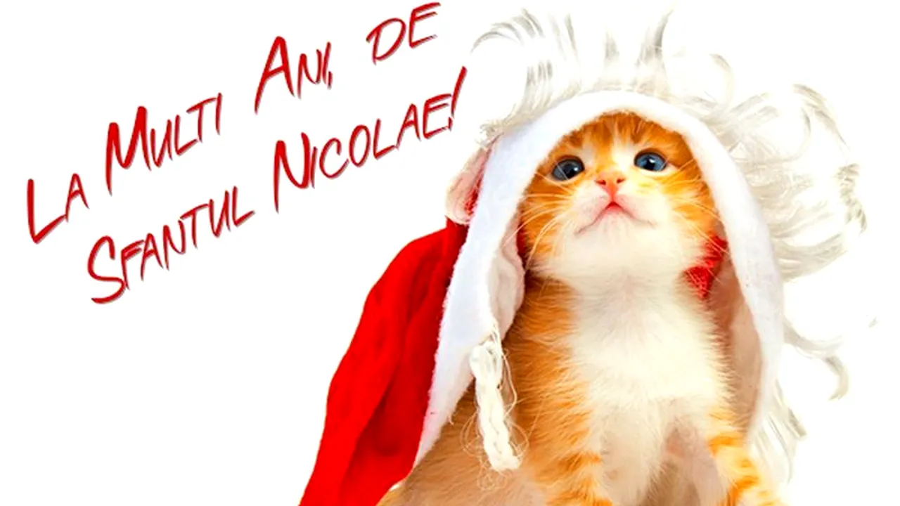 MOȘ NICOLAE 6 decembrie 2013. MESAJE și FELICITĂRI de MOȘ NICOLAE și SFÂNTUL NICOLAE