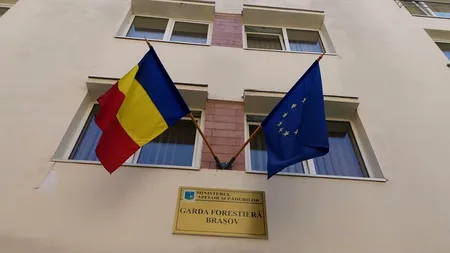 Un angajat al Gărzii Forestiere Brașov a intrat în greva foamei: Este foarte greu să ne desfășurăm activitatea