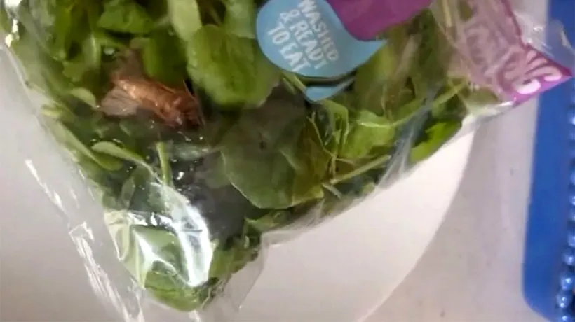 Ce a găsit o clientă într-o pungă cu salată pe care a cumpărat-o din supermarket