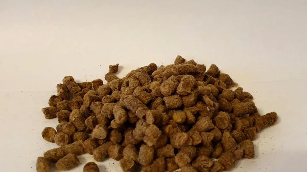 Antreprenorii care au transformat lâna de oaie în îngrășământ 100% organic