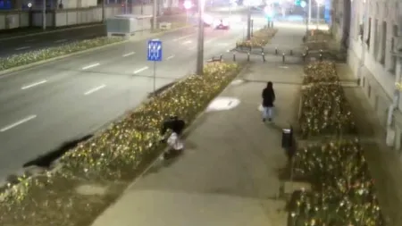 Două femei, prinse în timp ce smulgeau florile plantate în Sectorul 6. Ce PEDEAPSĂ riscă