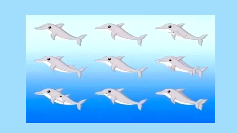 ILUZIE optică virală | Câți delfini sunt în această poză, în total?