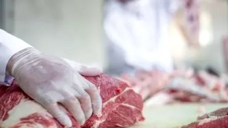 Muncitorii români din industria cărnii amenință cu greva, în Germania