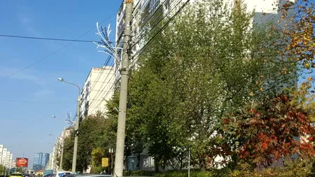 La Sibiu a început montarea iluminatului festiv pentru Crăciun 