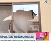 Cea mai mare EVADARE din istoria Pakistanului: peste 200 de deținuți au evadat, după un cutremur care a provocat panică în rândul gardienilor